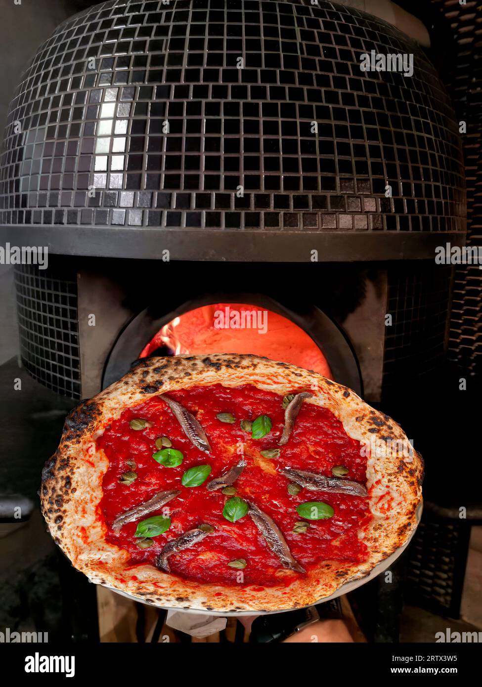 Pizza Marinara with tomato sauce and anchovies straight from the Italian woodfired oven. Close