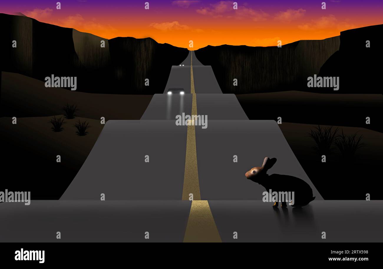 Rabbit in the headlights hi-res stock photography and images - Alamy