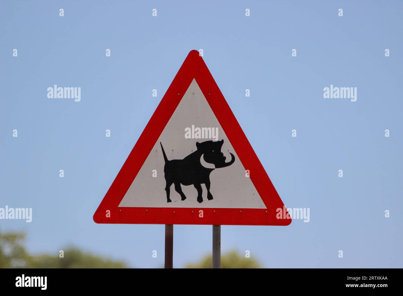 Warthog warning road sign Namibia Stock Photo