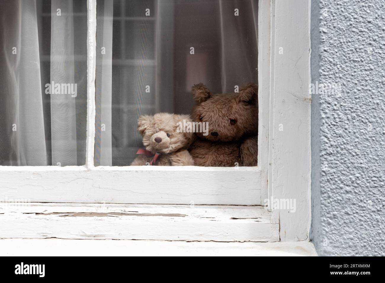 School child with teddy bear hi-res stock photography and images - Alamy