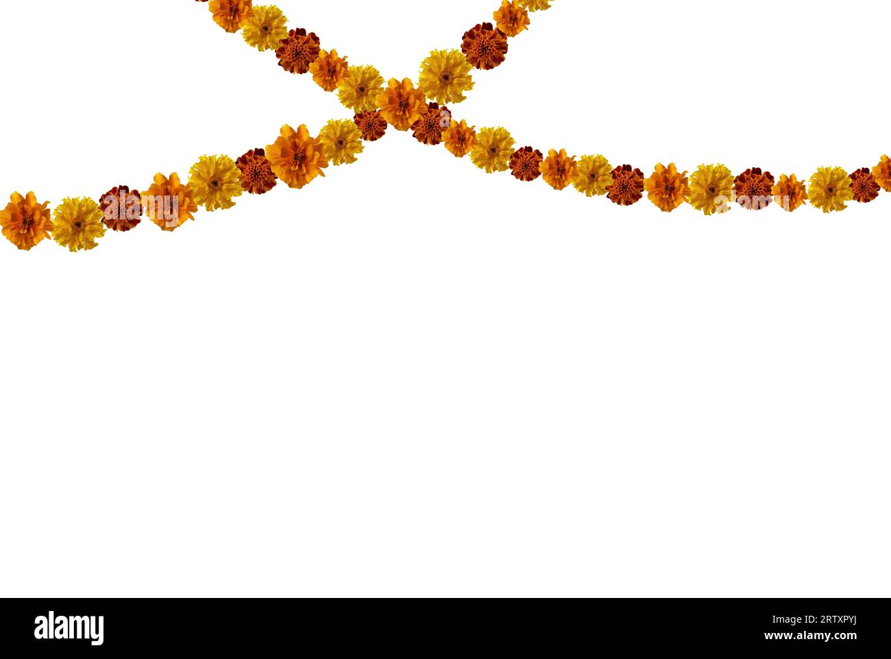 Marigold garland hires stock photography and images Alamy