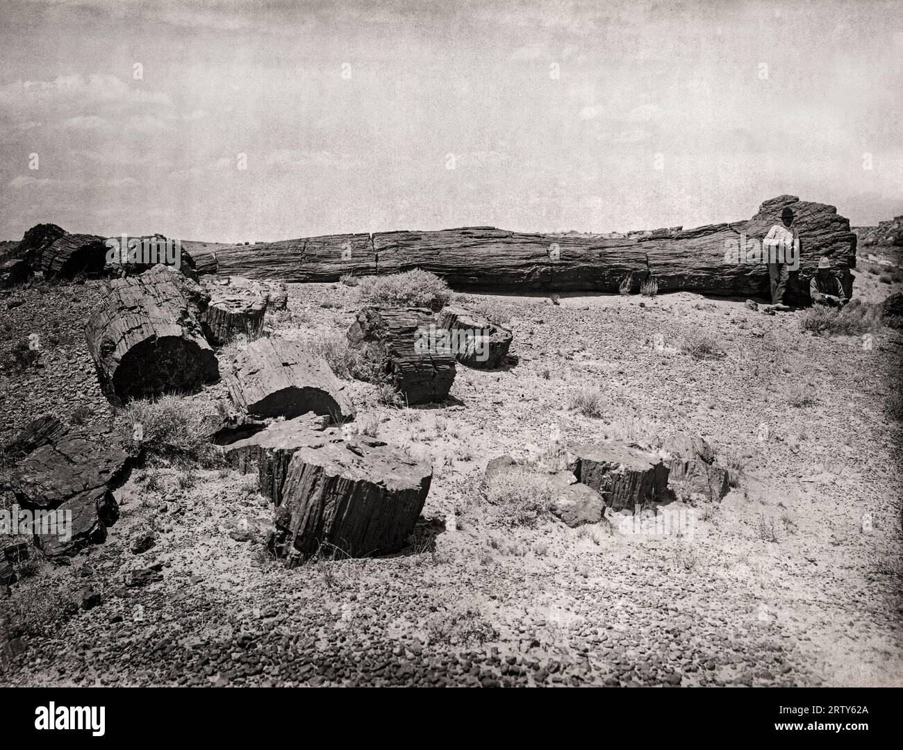 Arizona, c. 1890  View of Painted Desert and petrified wood in the Petrified Forest National Park. Stock Photo