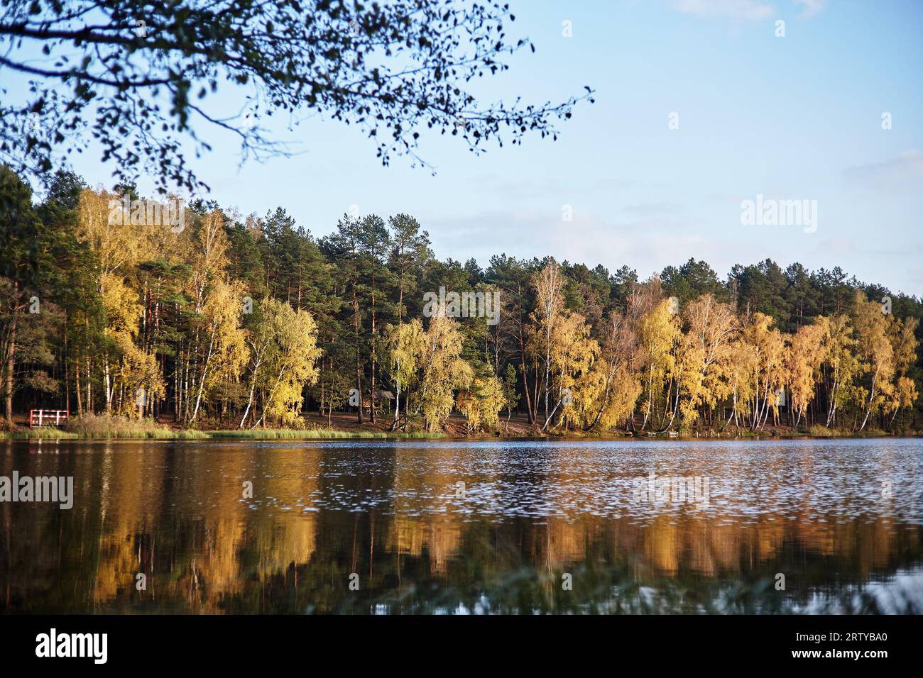 Autumn forest lake. Reflection of autumn lake water Stock Photo - Alamy