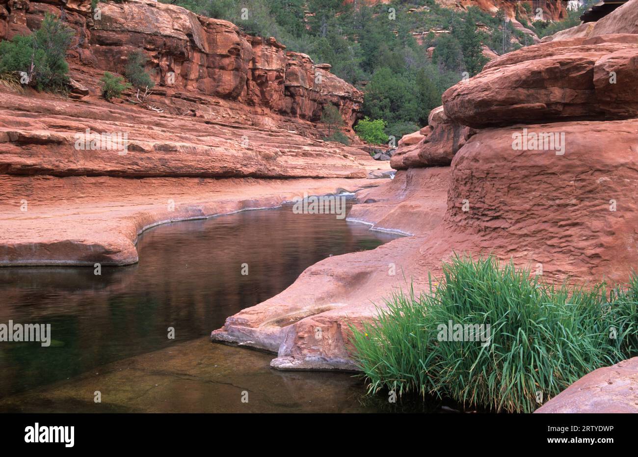 Oak Creek, Slide Rock State Park, Arizona Stock Photo Alamy