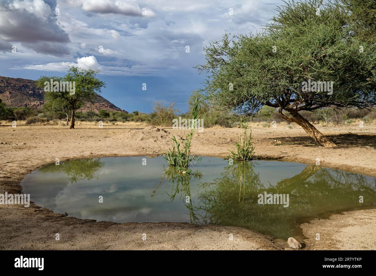 Omandumba guest farm: watering place for wild animals, west of Omaruru ...