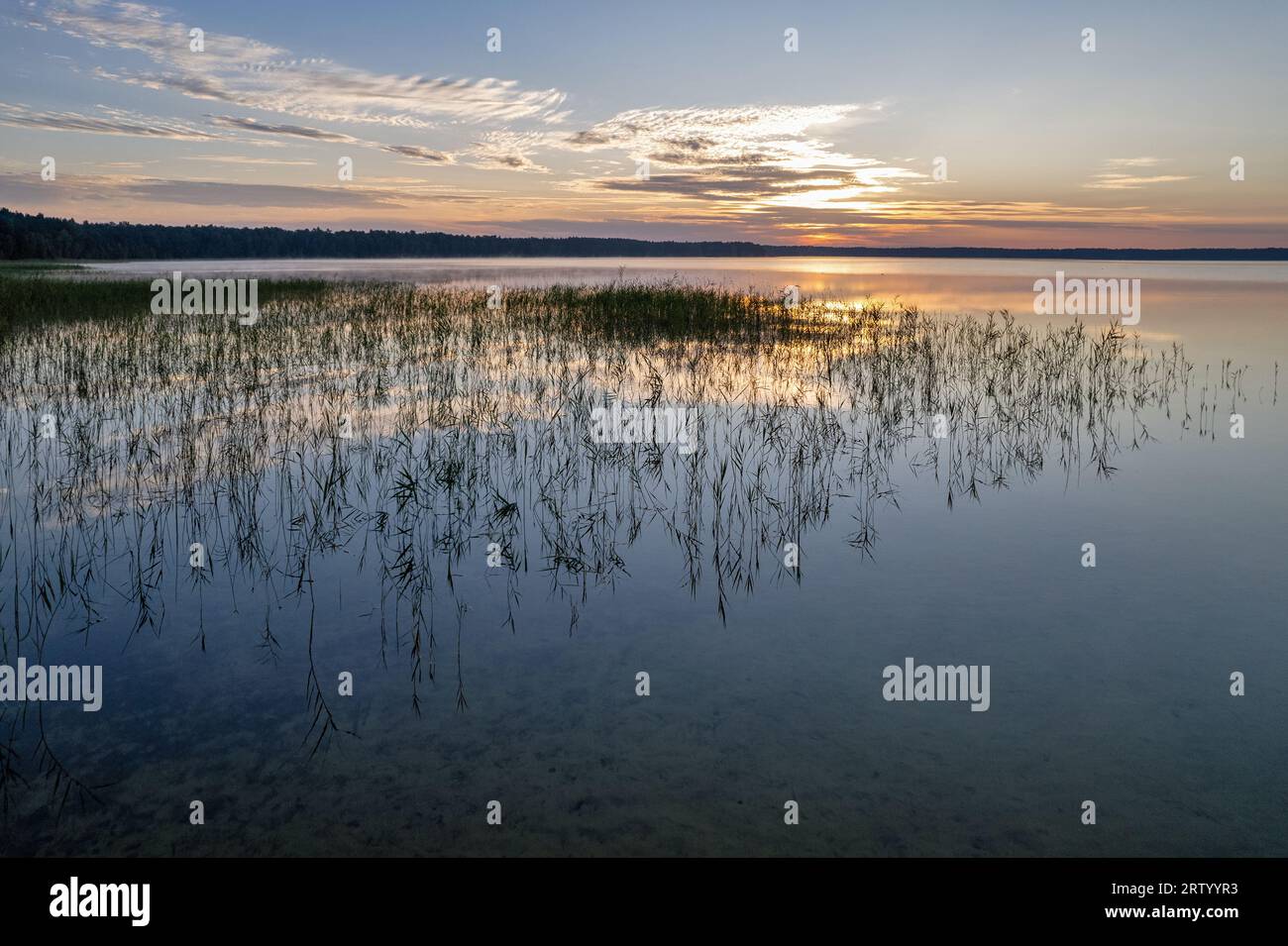 Panoramic view over sunrise White Lake in Rivne region, Ukraine. Stock Photo