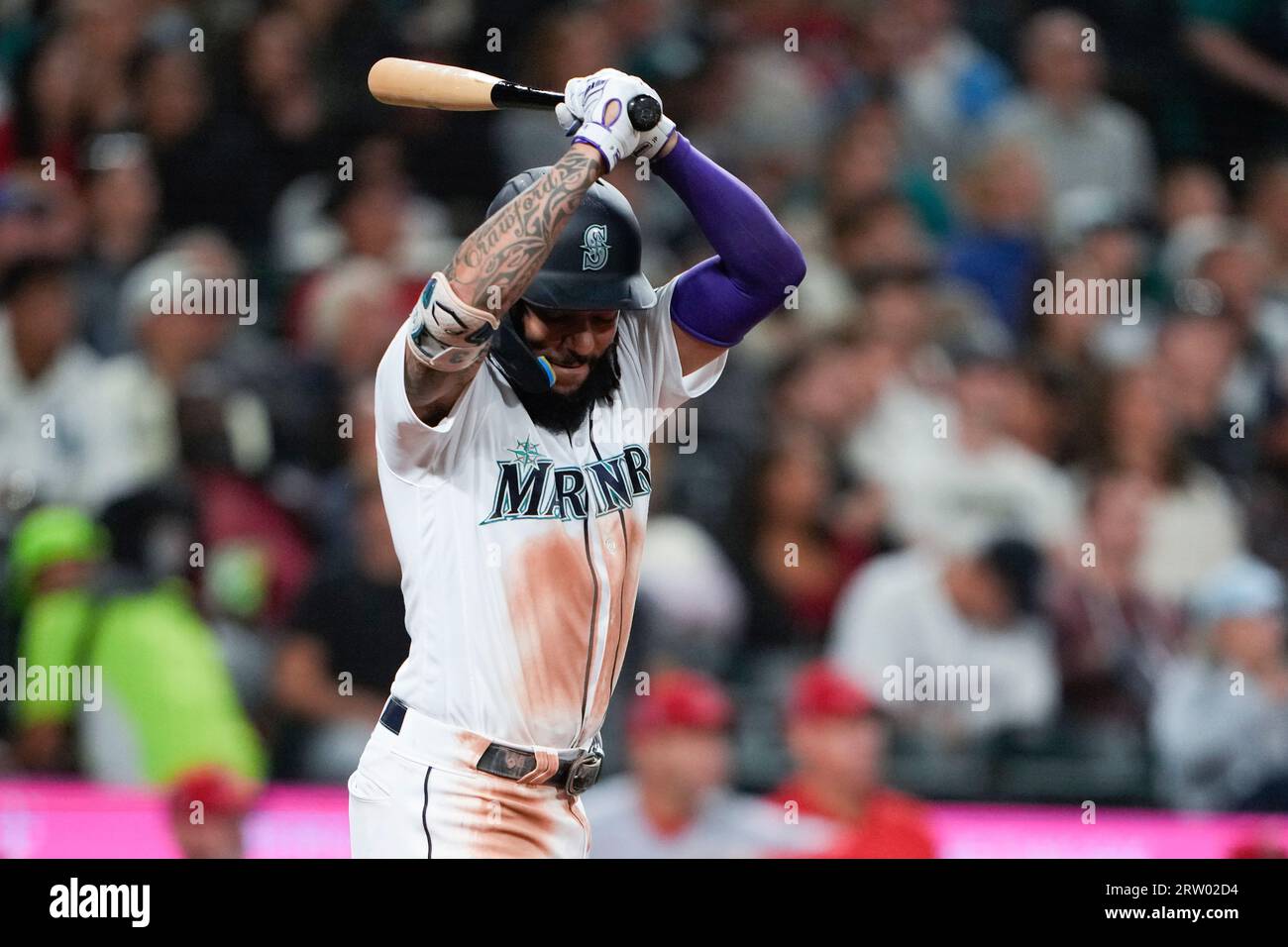 Seattle Mariners' J.P. Crawford homers, celebrates by petting dog - Seattle  Sports