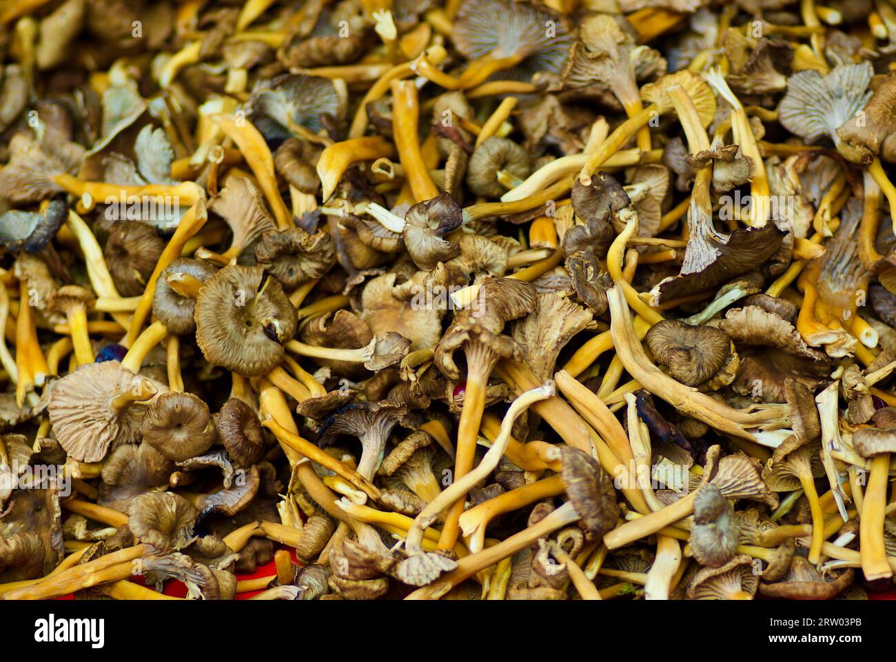 Farmers market edible for sale hires stock photography and images Alamy