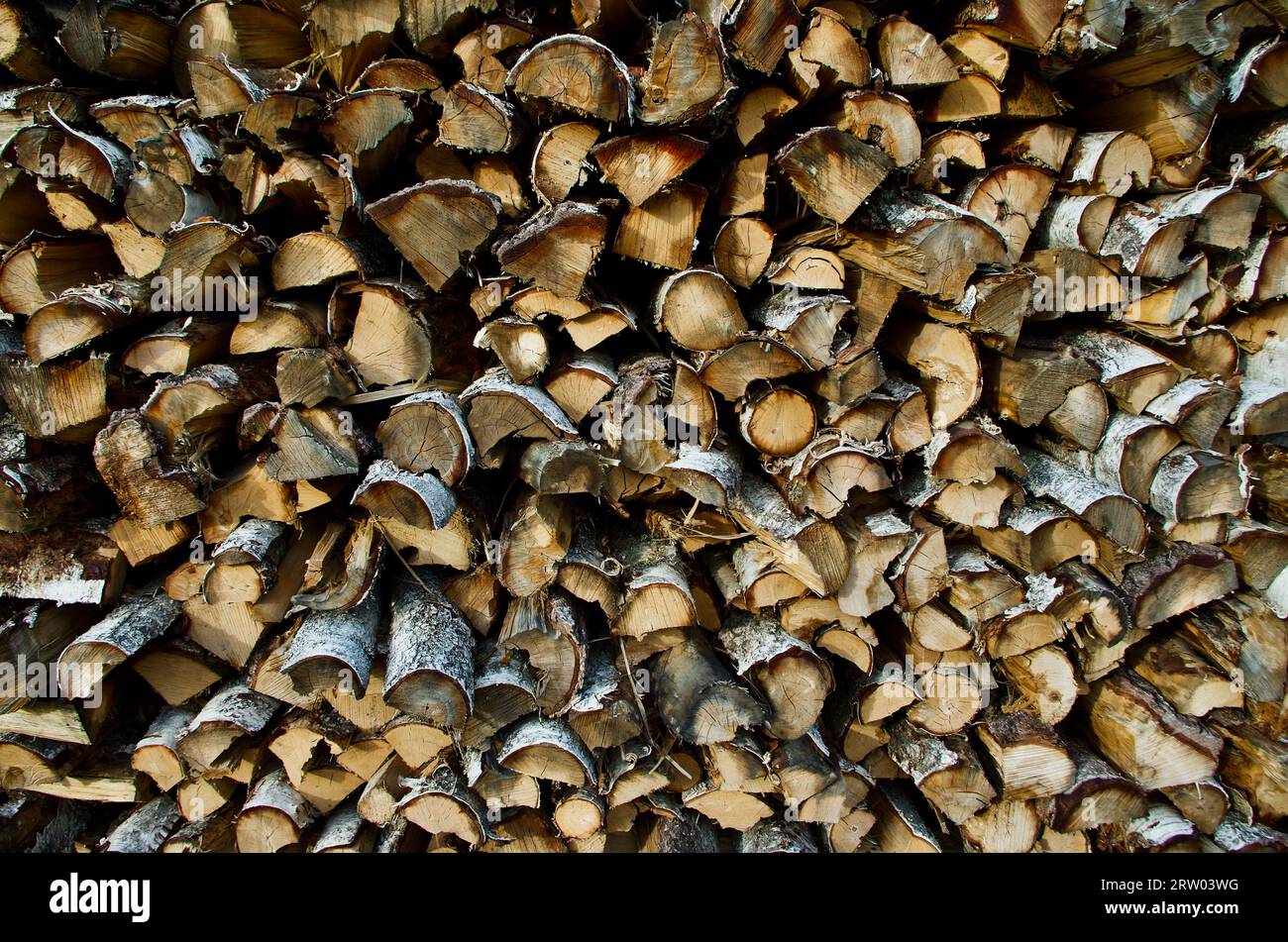 Close-up of wood pile with split birch wood. Stock Photo