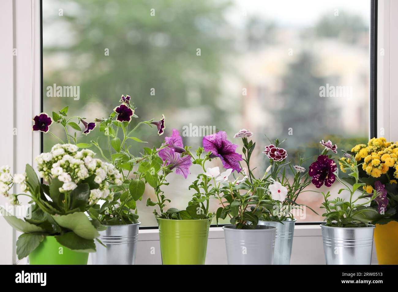 Different beautiful flowers in pots on windowsill indoors Stock Photo ...