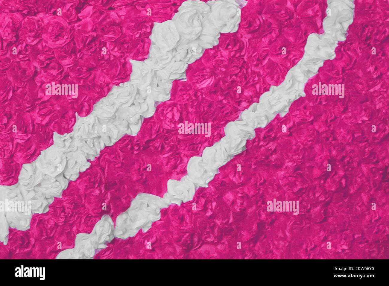 Paper pink and white roses, flowers color background, texture, design ...