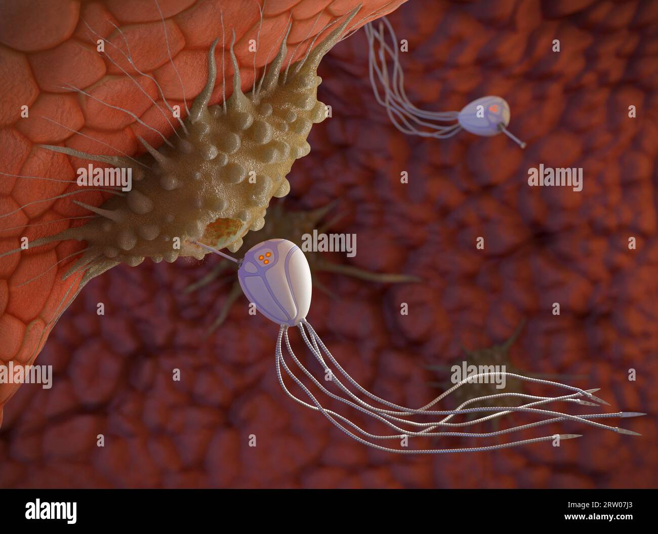 Medical nanobots destroying cancer, illustration Stock Photo