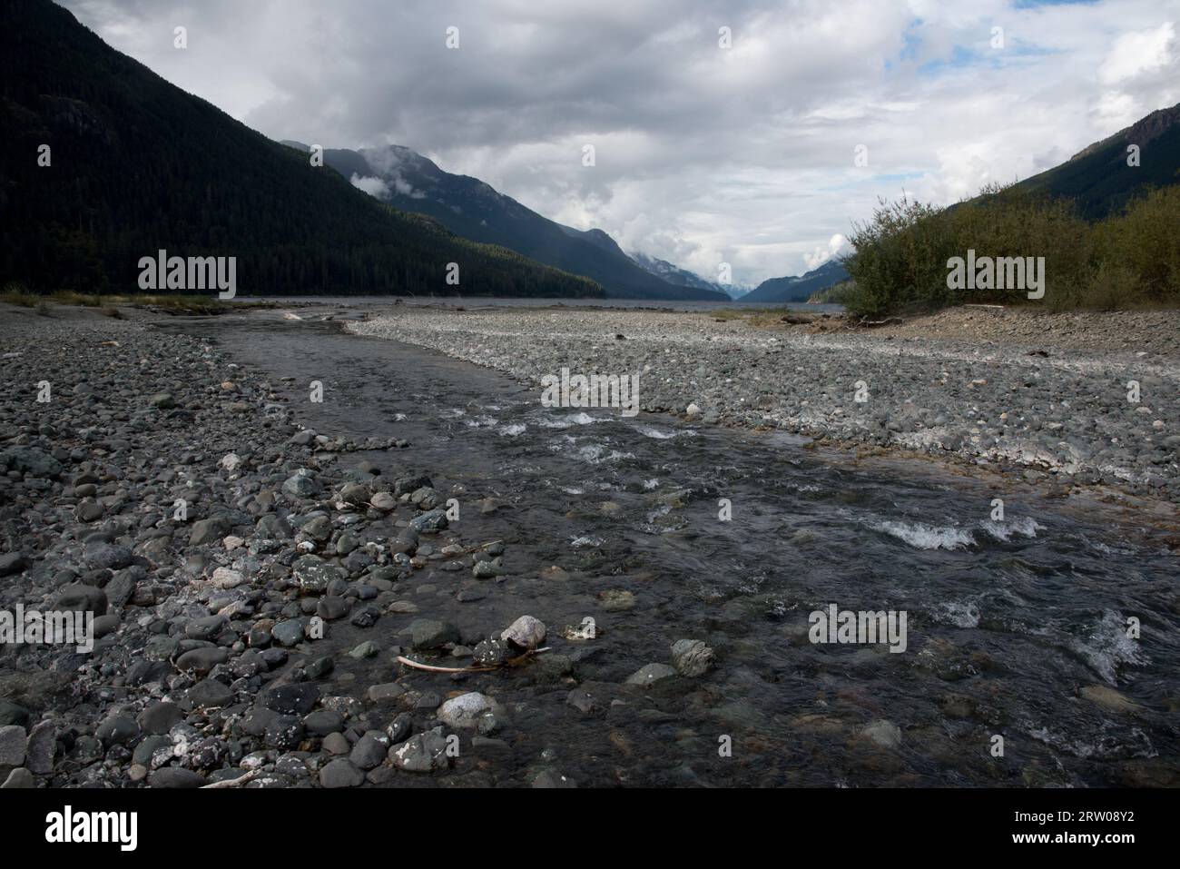 Ralph River open out into Buttle Lake in Strathcona  Provincial Park on Vancouver Island in Canada. Stock Photo