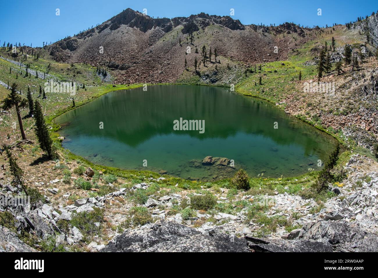 A high elevation montane lake in the Trinity alps wilderness in Northern California. Stock Photo