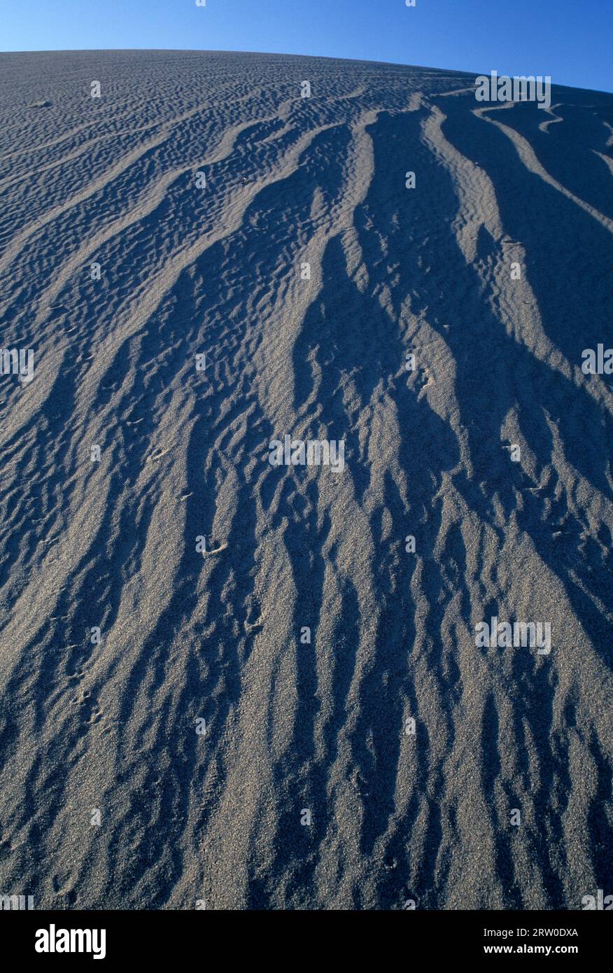 Dune ripples, Bruneau Dunes State Park, Snake River Birds of Prey
