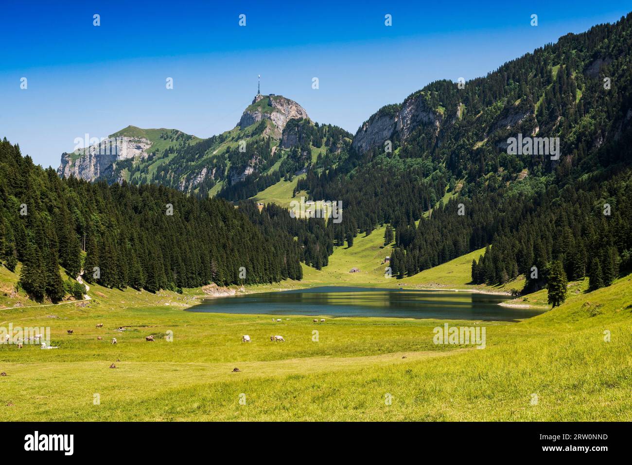 Mountain landscape and lake, Lake Saemtis, Hoher Kasten, Alpstein, Appenzell Alps, Canton Appenzell Innerrhoden, Switzerland Stock Photo