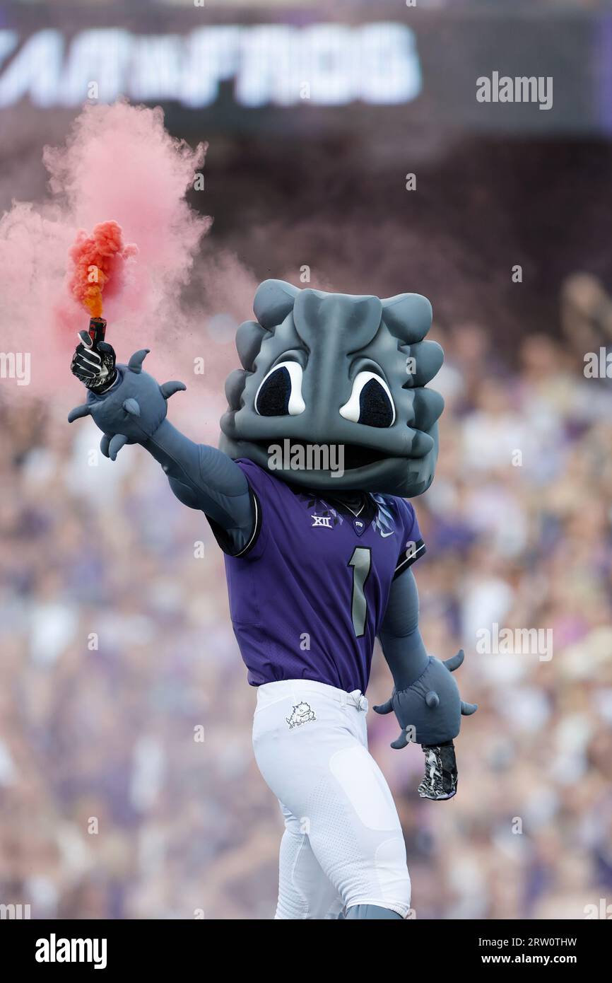 TCU Horned Frogs mascot Superfrog during pregame ceremonies before an NCAA  college football game against Nicholls State, Saturday Sept. 9, 2023, in  Fort Worth, Texas. (Matt Patterson via AP Stock Photo - Alamy