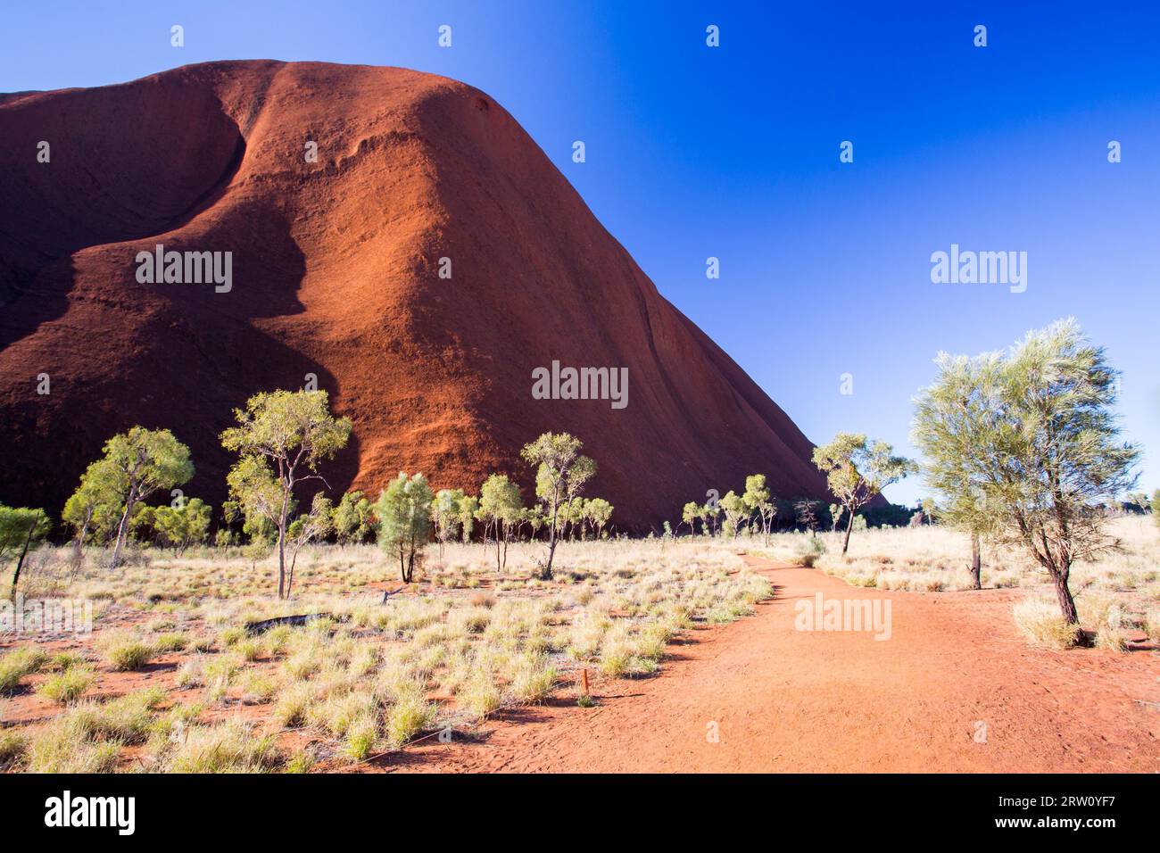The southern face of Uluru on the Kuniya walk on a clear winter#39, s afternoon in the Northern Territory, Australia Stock Photo