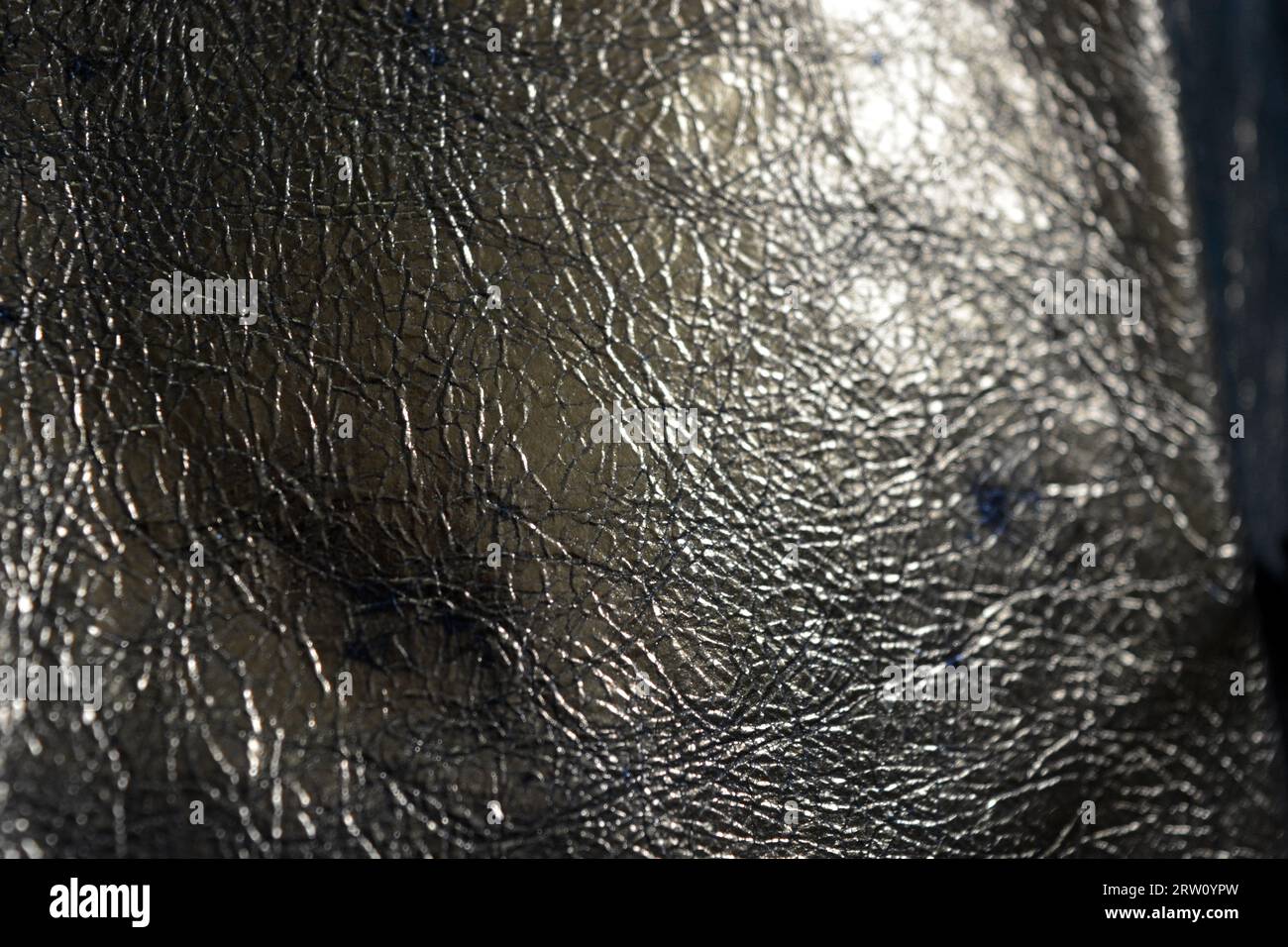 Beautiful leather goods hi-res stock photography and images - Alamy