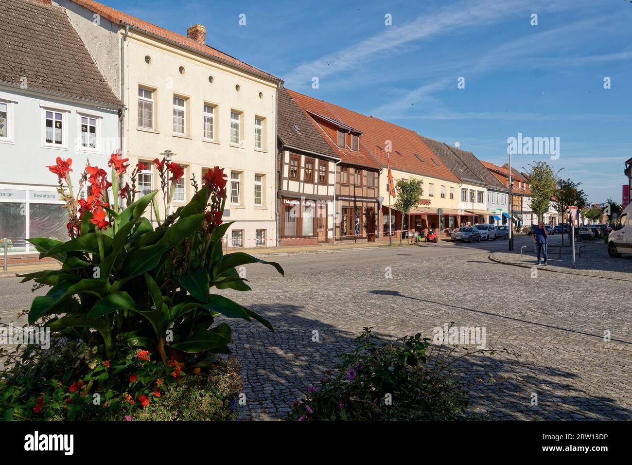 At the market in Seehausen, Altmark. Hanseatic town of Seehausen, Saxony-Anhalt, Germany Stock Photo
