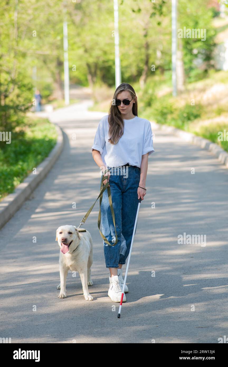 Blind woman walking with guide dog in the park Stock Photo - Alamy