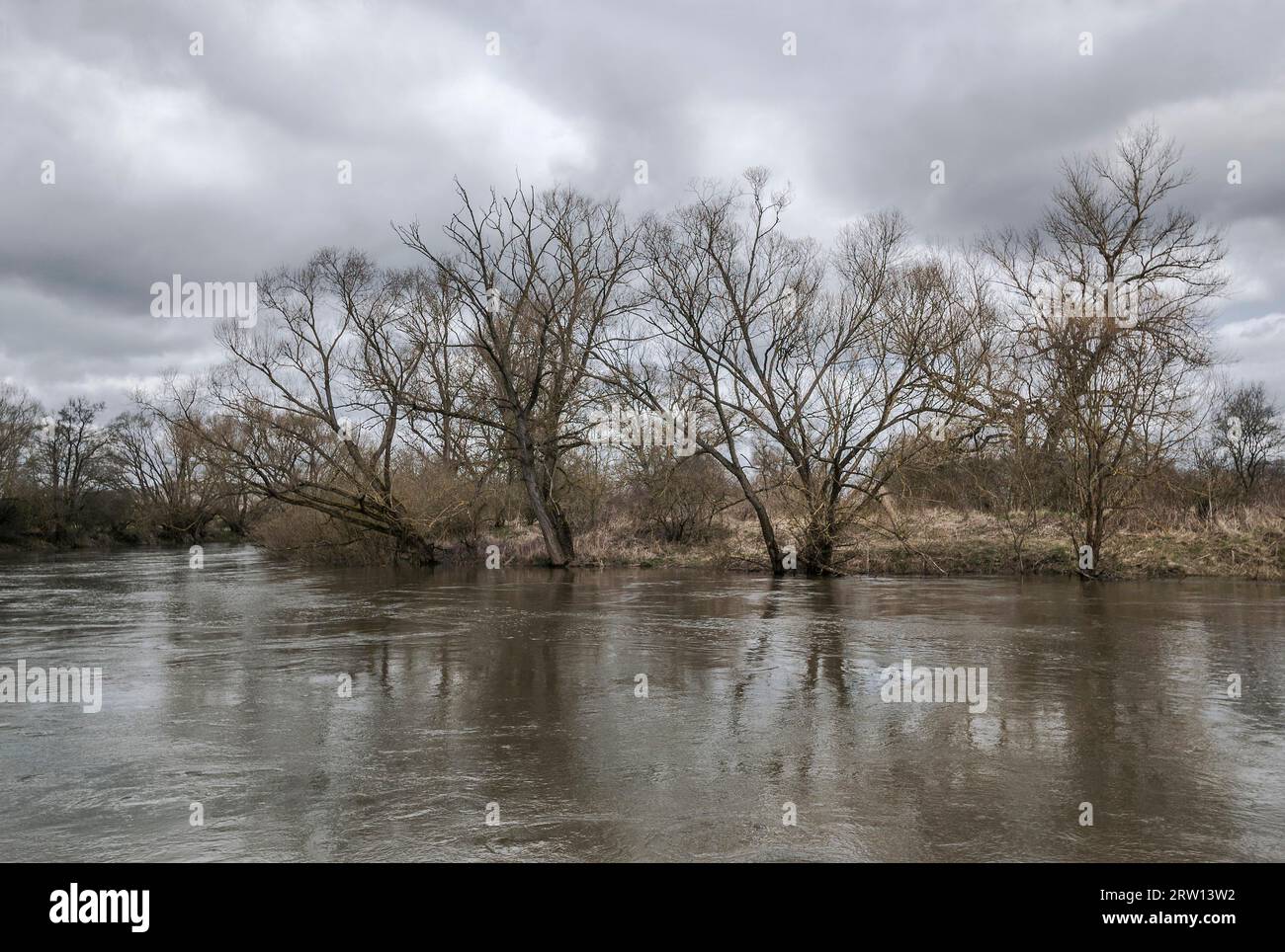 The floodplain is the lowland along a river that is characterised by ...
