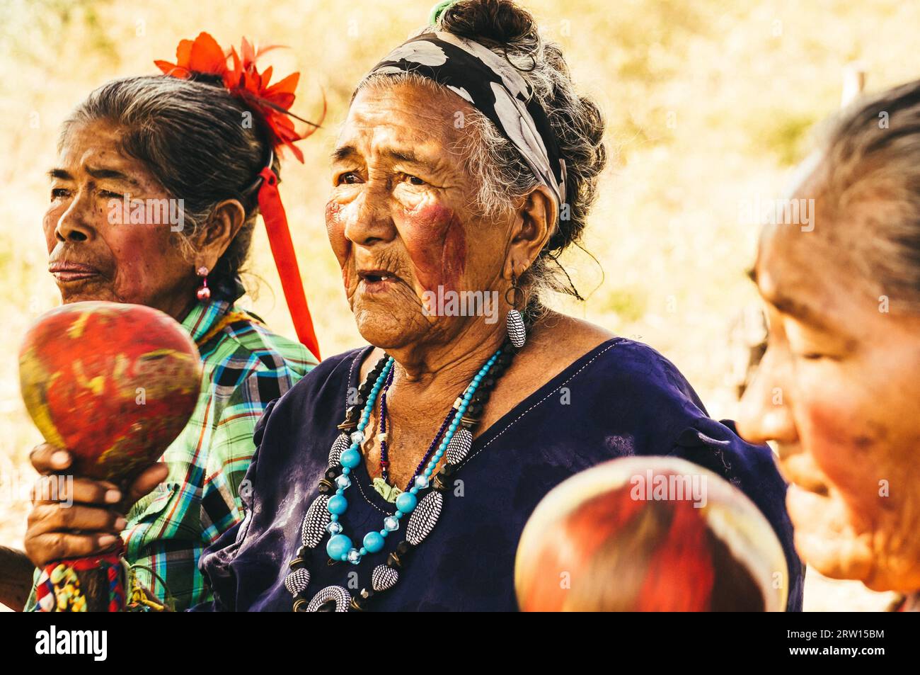 Indigenous music of paraguay hi-res stock photography and images - Alamy