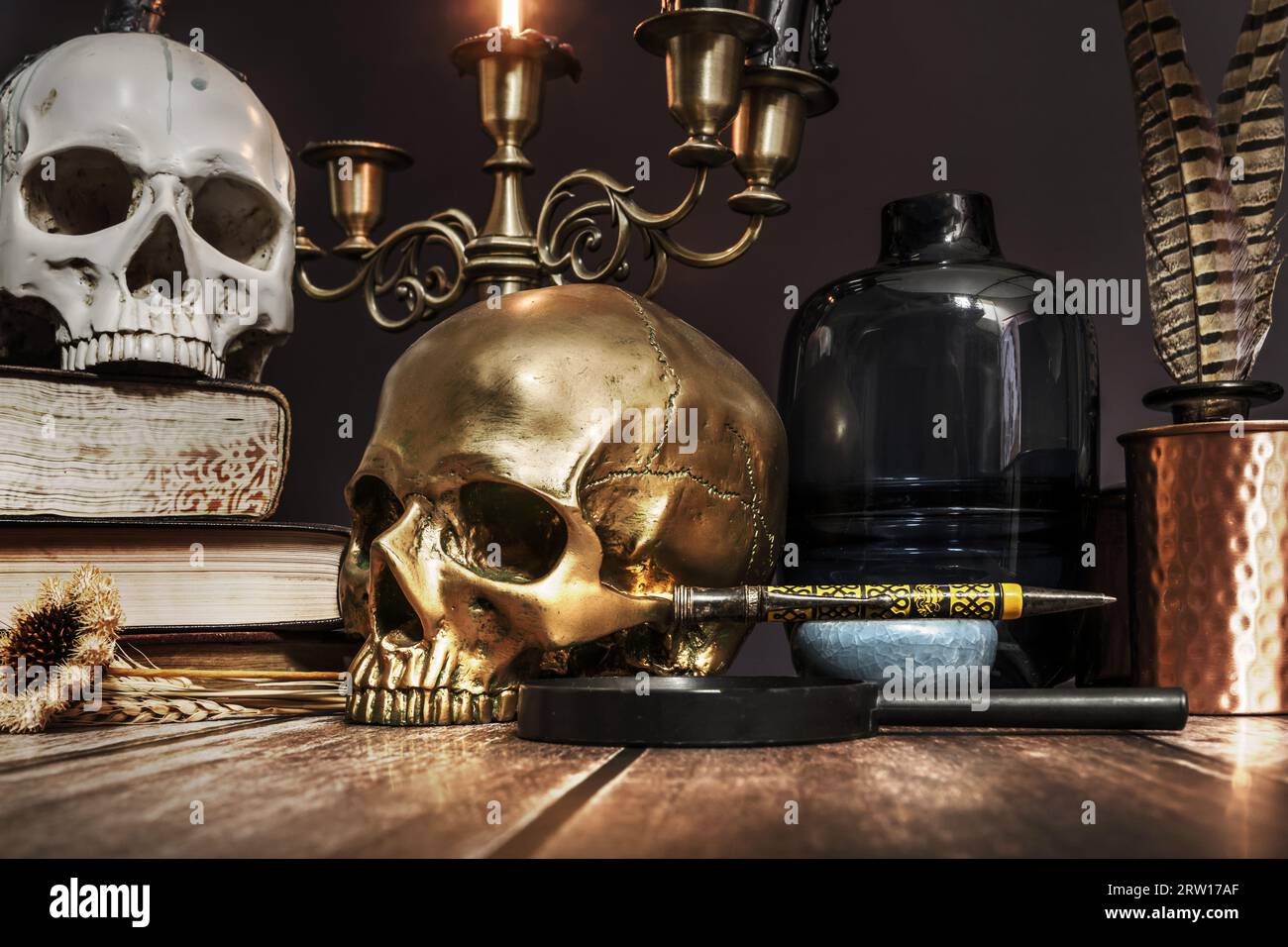 A close still life of some skulls, some old books and vintage desk objects  Stock Photo - Alamy, image size:1300x956