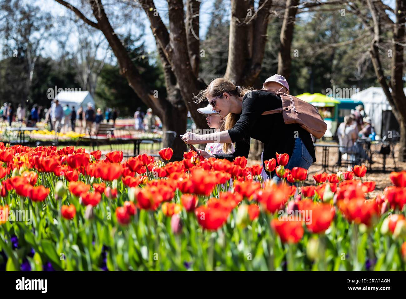 Canberra australia 16th sep 2023 a visitor takes pictures at the