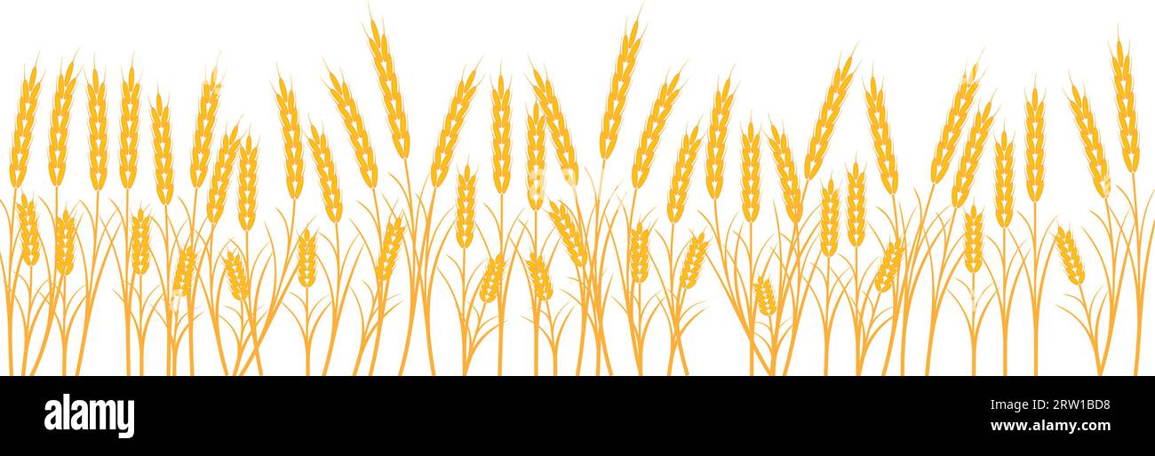 Banner wheat field background concept  harvest and agriculture Ukraine Stock Vector