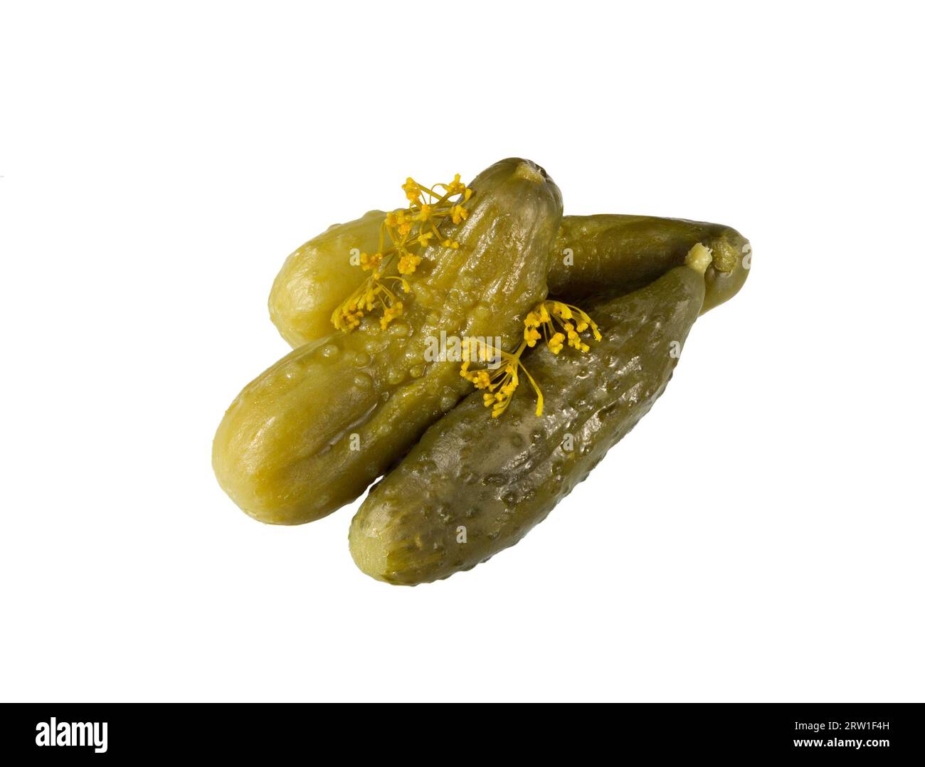 Marinated pickled cucumbers, isolated on white background Stock Photo