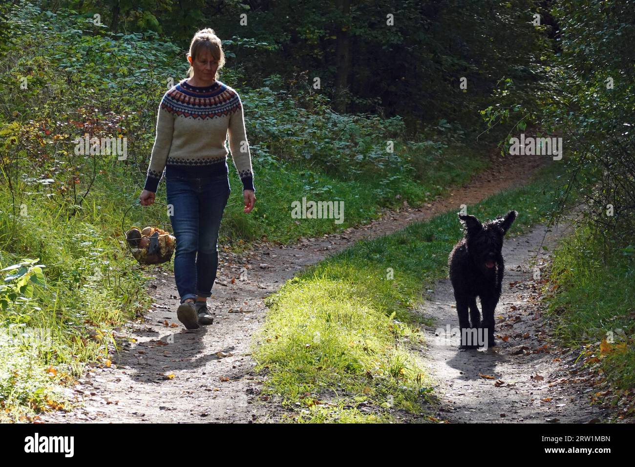 10.10.2022, Germany, Brandenburg, Dranse - Woman walking along a forest path with a basket of mushrooms with her dog. 00S221010D092CAROEX.JPG [MODEL R Stock Photo