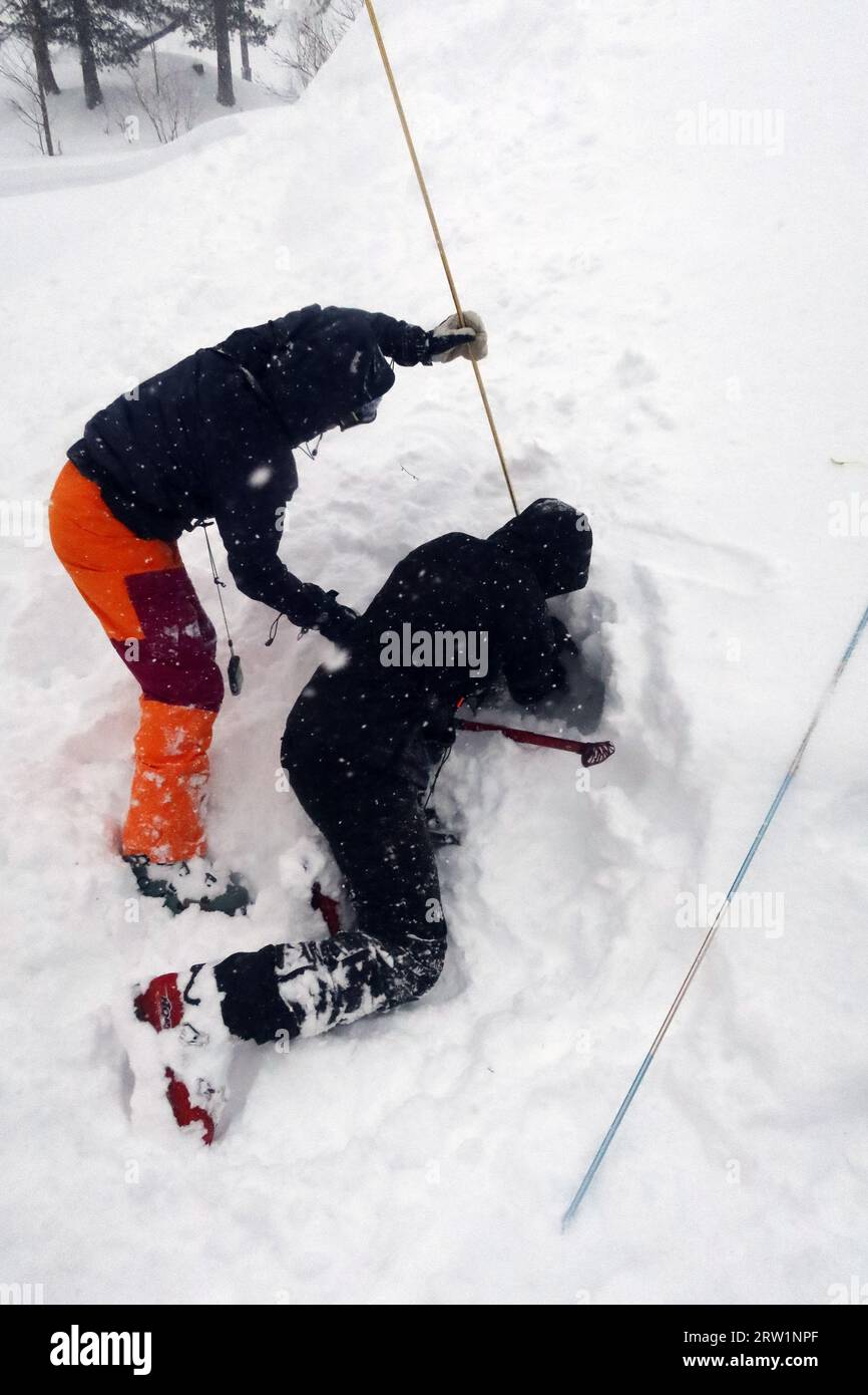 02.02.2023, Austria, Upper Austria, Krippenbrunn - Scene: Men digging for a person buried by an avalanche. 00S230202D193CAROEX.JPG [MODEL RELEASE: NO, Stock Photo