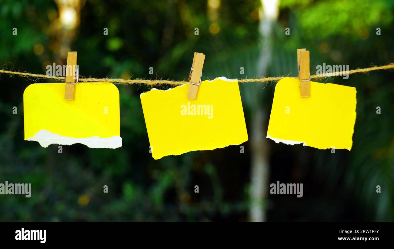 Three blank yellow torn papers hanging on the rope, mock up for artwork, photos, poster, prints. Stock Photo