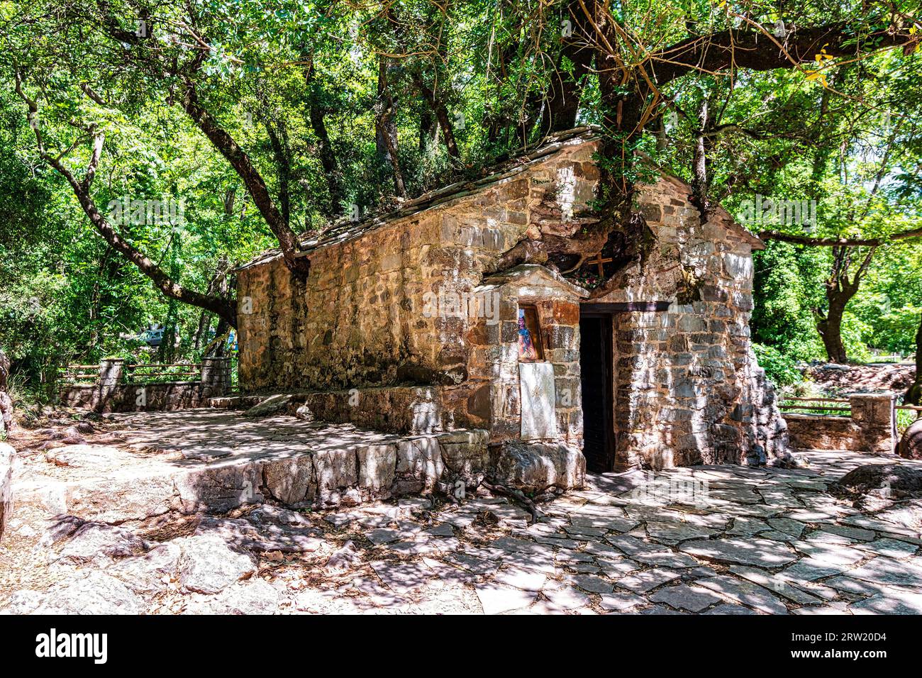 Theodora Tree Agia Theodora of Vasta miracle church in Peloponnese, Greece. Agia ...