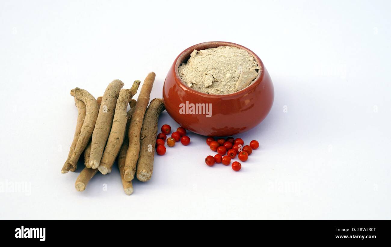 Ashwagandha Fresh Green Leaves on the Stem, Medicinal Herb Plant, also