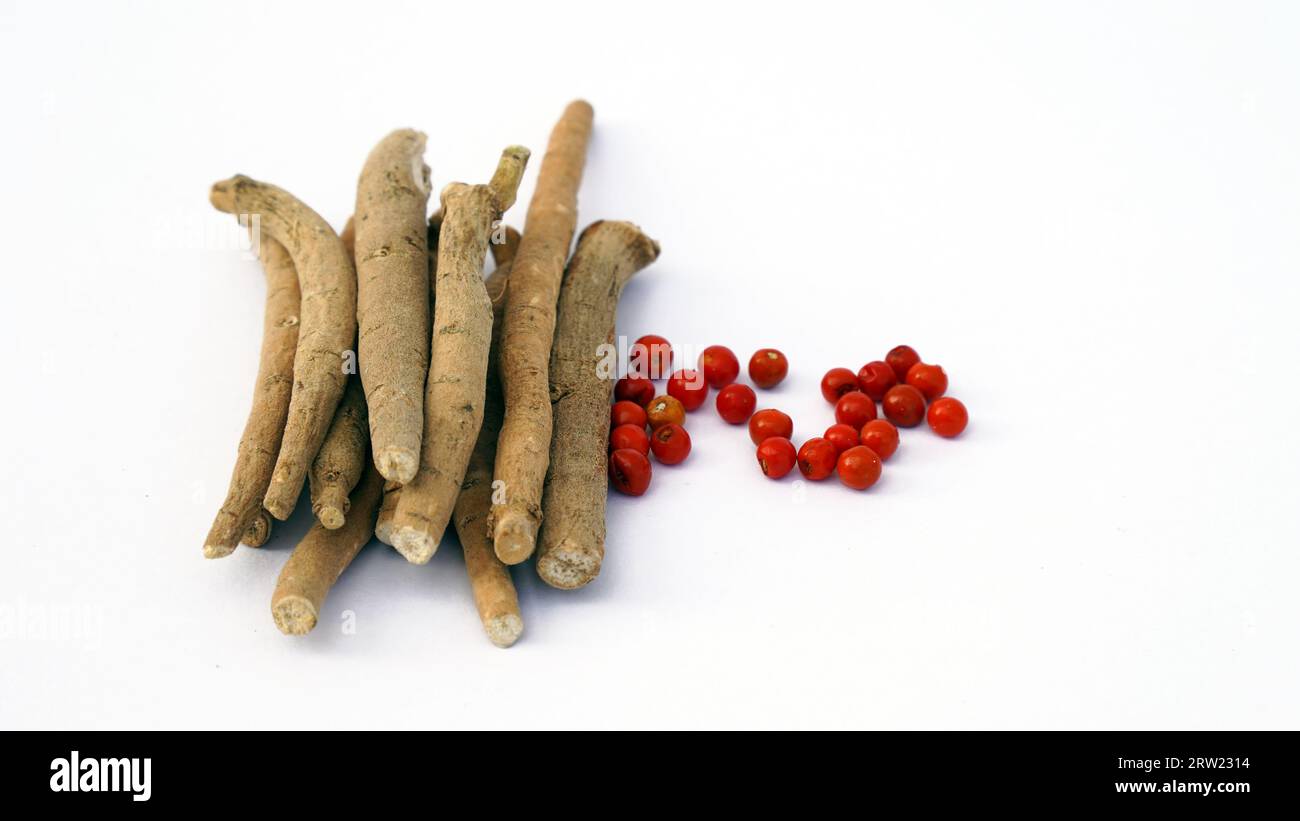 Ashwagandha Dry Root Medicinal Herb with Fresh Leaves, also known as