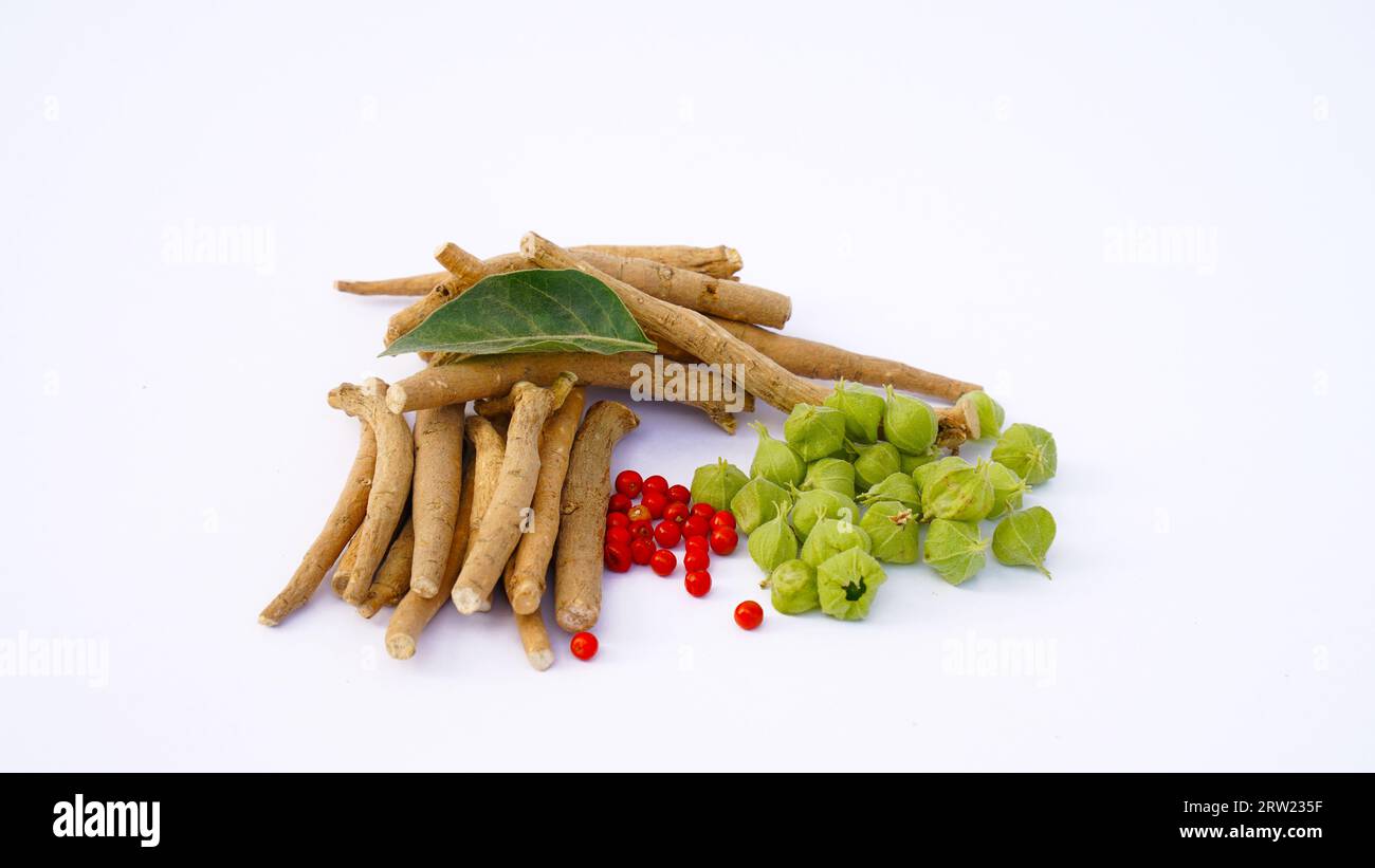 Ashwagandha Fresh Green Leaves on the Stem, Medicinal Herb Plant, also