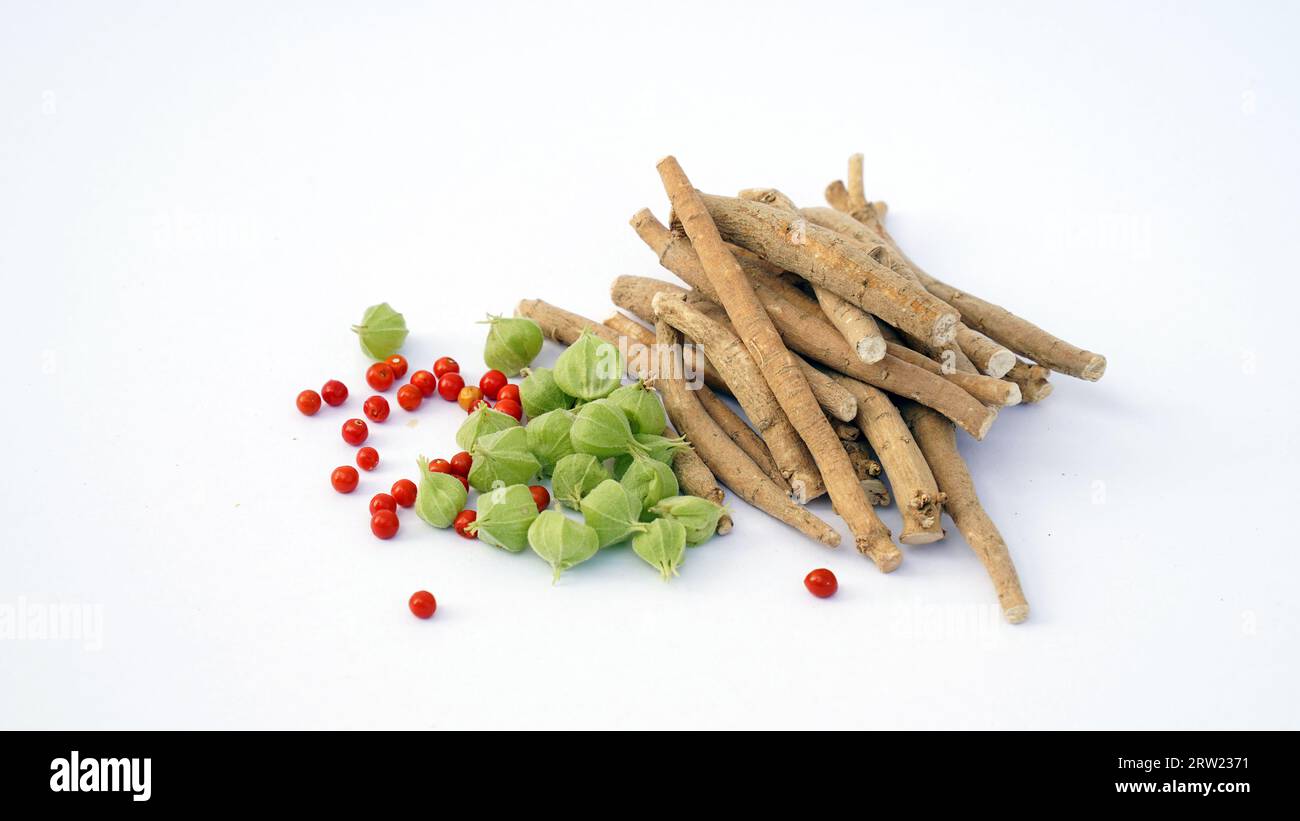 Ashwagandha Dry Root Medicinal Herb with Fresh Leaves, also known as