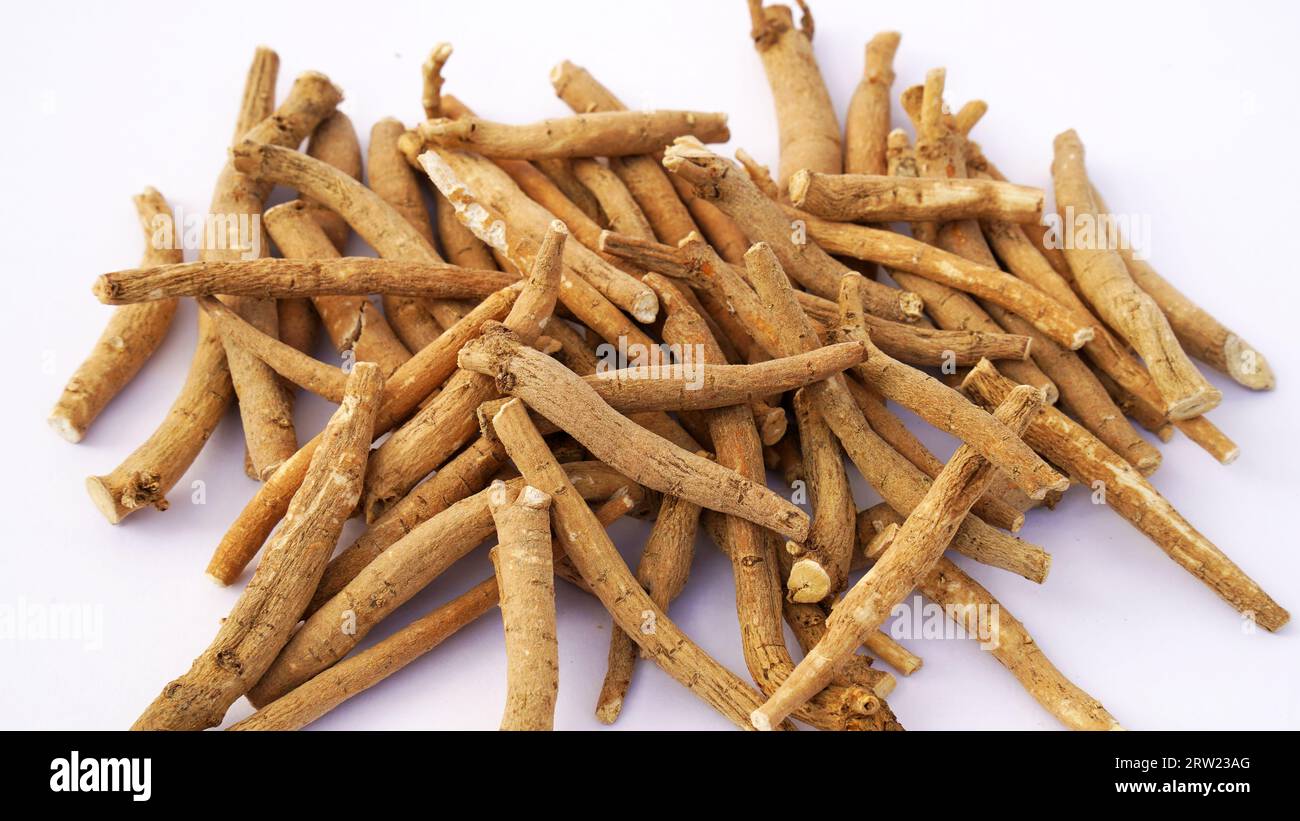 Ashwagandha Dry Root Medicinal Herb with Fresh Leaves, also known as ...