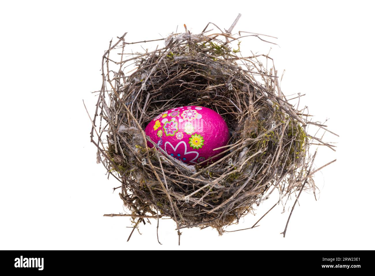 bird's nest isolated on white background Stock Photo - Alamy