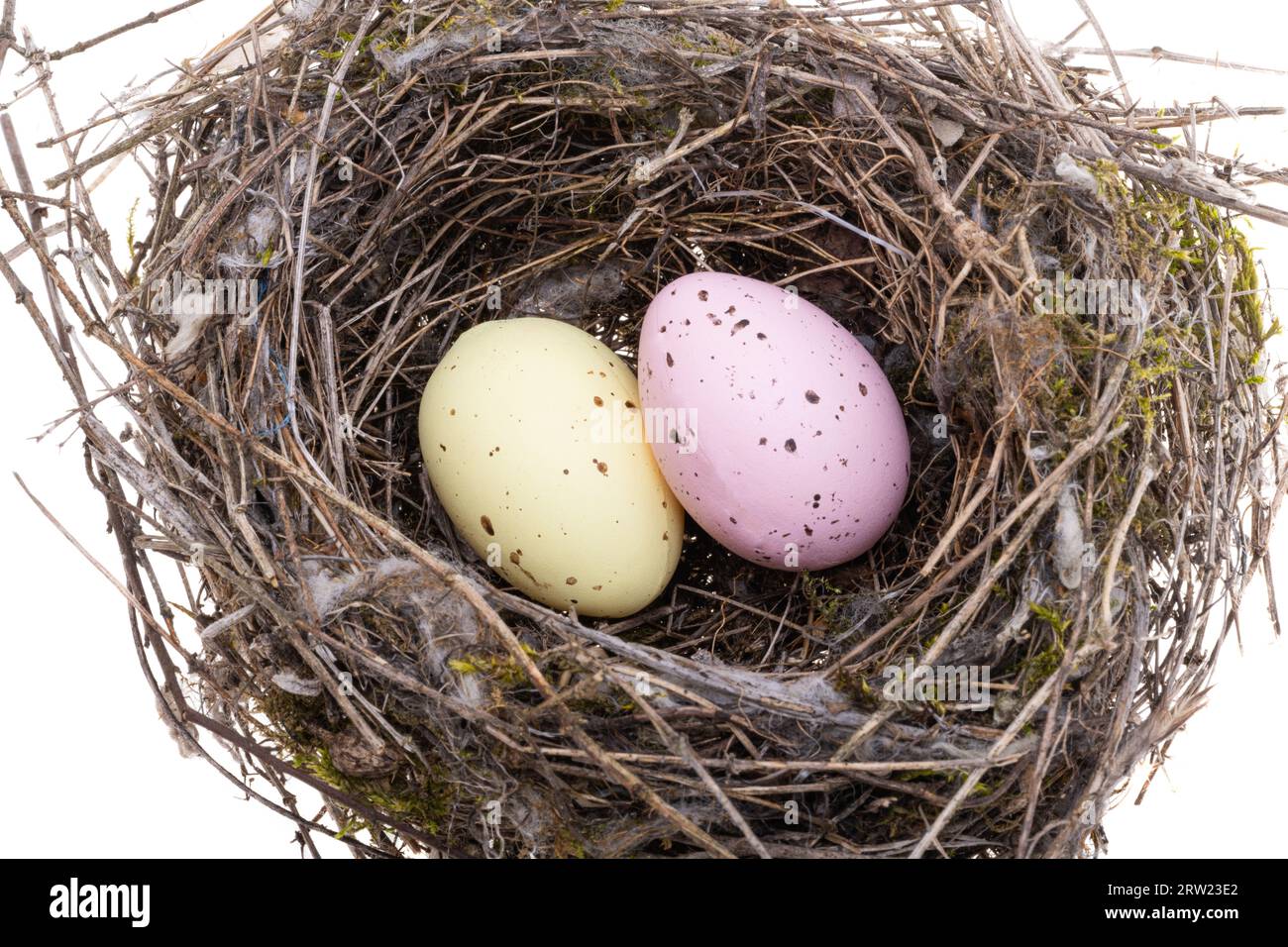 bird's nest isolated on white background Stock Photo - Alamy