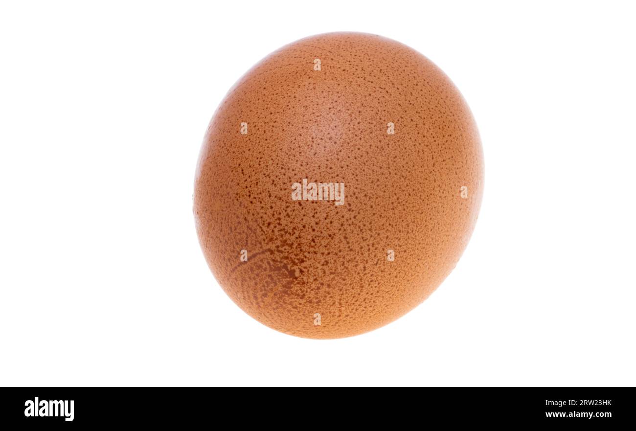 chicken egg isolated on white background Stock Photo - Alamy