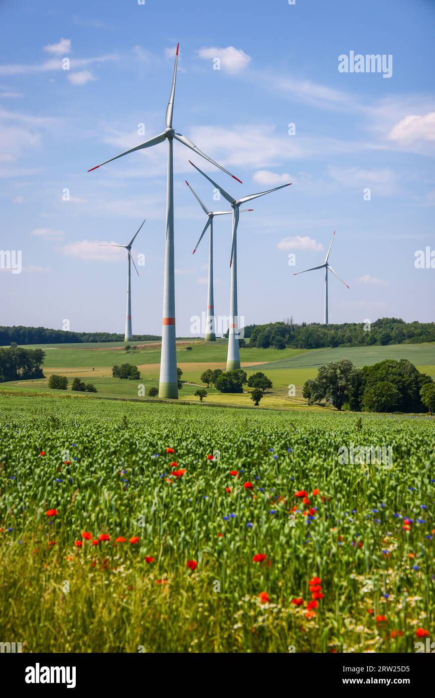 04.07.2023, Germany, North Rhine-Westphalia, Lichtenau - Wind farm in agricultural landscape, in front blue stripes on wheat field, poppies, cornflowe Stock Photo