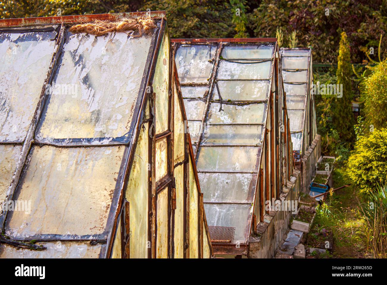 Glass greenhouses in botanical hi-res stock photography and images - Alamy