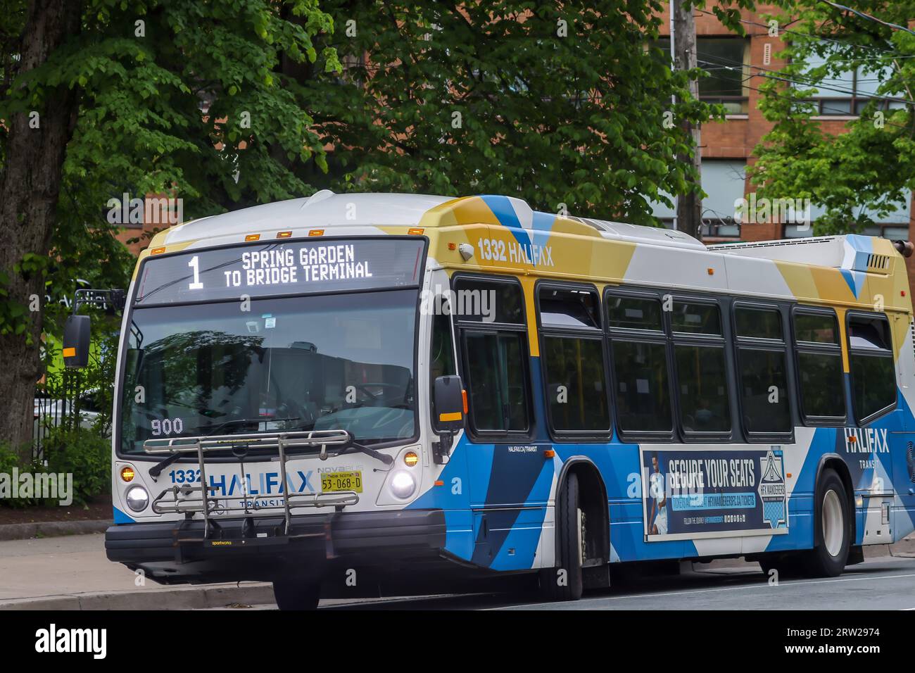 Halifax Transit Bus, Route 1 at Spring Garden Road. Public transport bus in Nova Scotia. Halifax