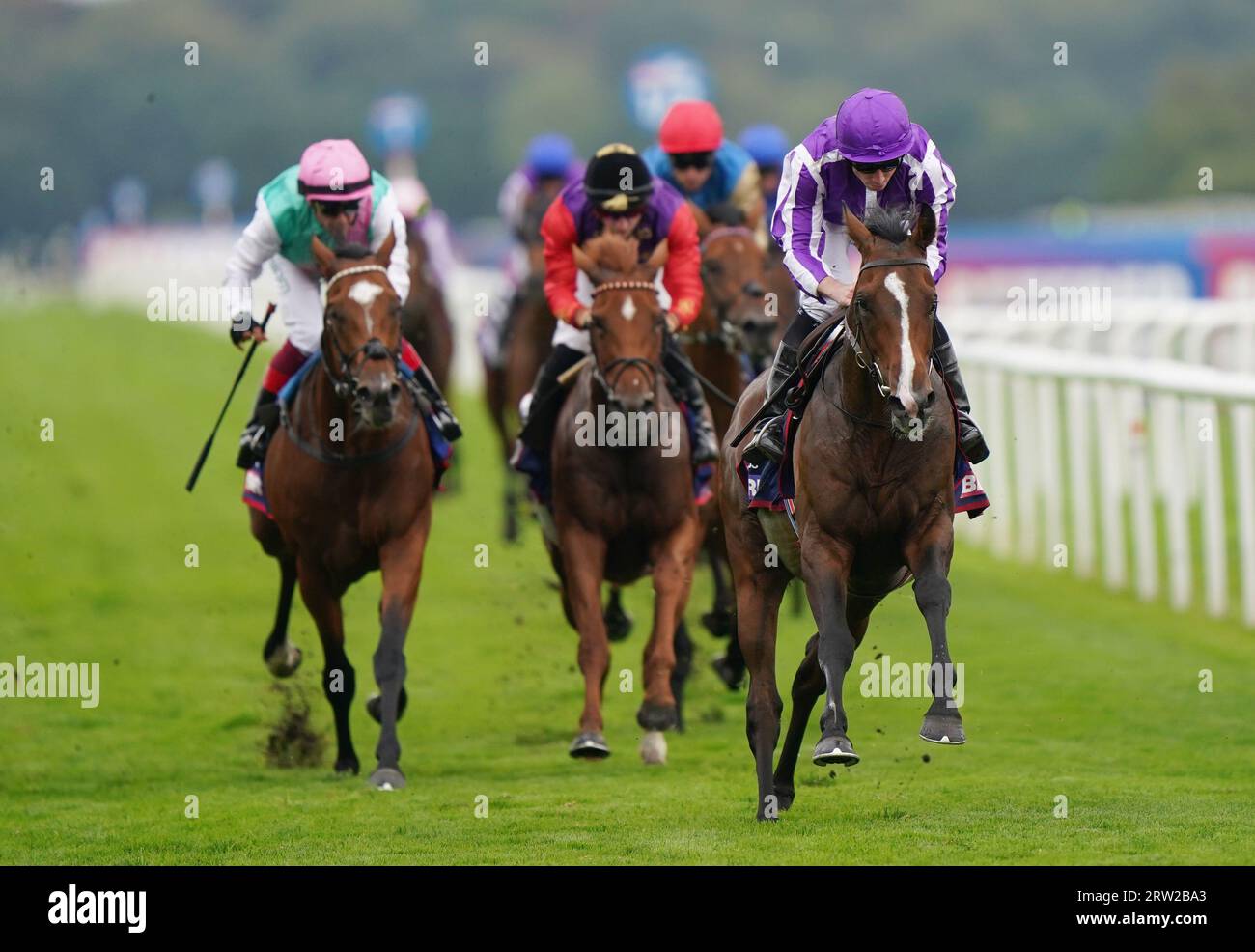 Continuous ridden by Ryan Moore wins the Betfred St Leger Stakes during the Betfred St Leger Festival at Doncaster Racecourse. Picture date: Saturday September 16, 2023. Stock Photo