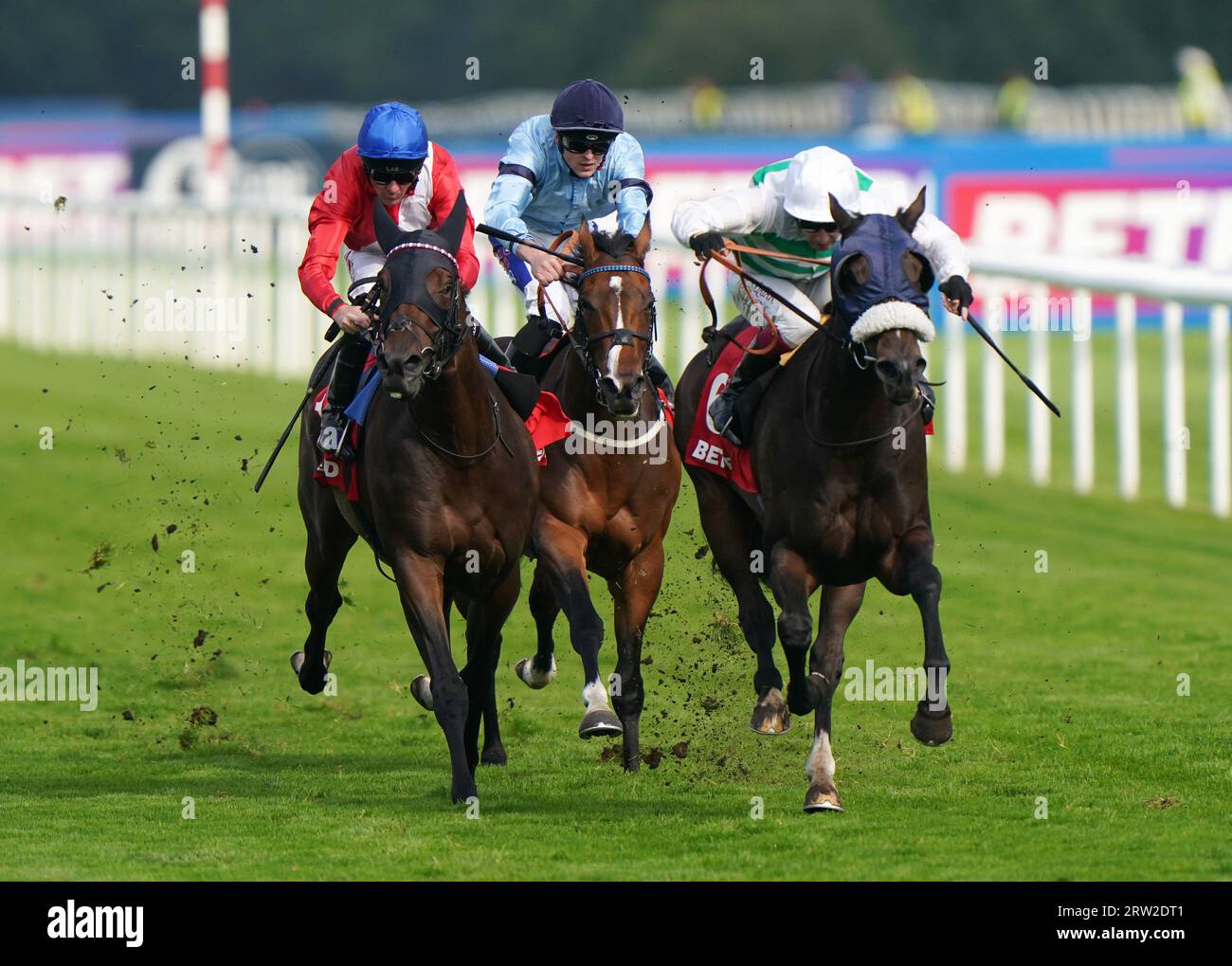 Sandrine ridden by Oisin Murphy wins the Betfred Park Stakes during the Betfred St Leger Festival at Doncaster Racecourse. Picture date: Saturday September 16, 2023. Stock Photo