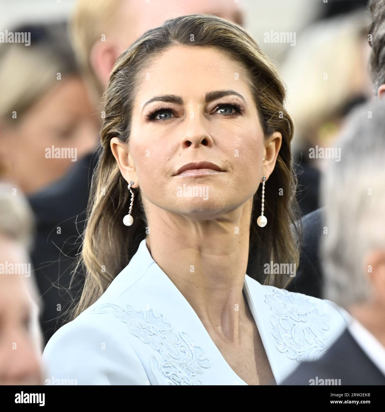 50th jubilee of the throne of the king of sweden hires stock