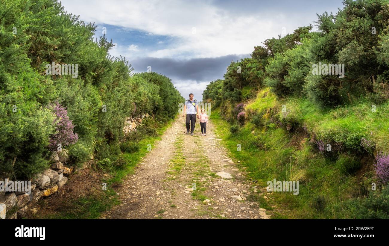 Father and daughter walking on country road surrounded by colourful heathers and bushes. Family hiking in Lough Dan, Wicklow Mountains, Ireland Stock Photo